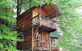 Sycamore Avenue Treehouses & Cottages Accommodation