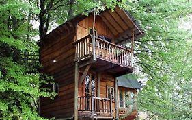 Sycamore Avenue Treehouses & Cottages Accommodation